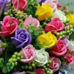 Philip Nelson photo on Jungo Live