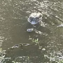 Matthew photo on Jungo Live