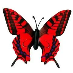 Andrerson44 photo on Jungo Live