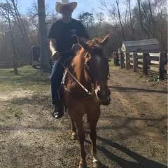 Guest photo on Jungo Live