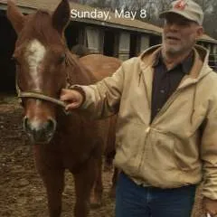 Guest photo on Jungo Live