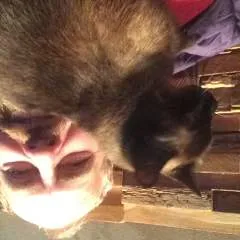 Hungrrry Bfg photo on Jungo Live