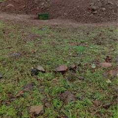 Pritm Kumar photo on Jungo Live