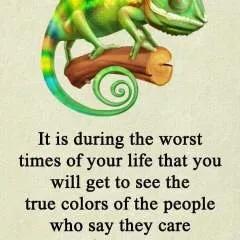 Abumusty photo on Jungo Live