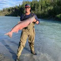 Jesse photo on Jungo Live