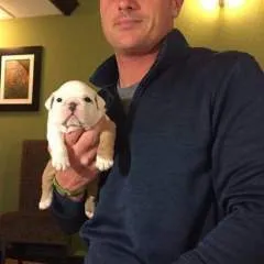 Marsh photo on Jungo Live