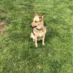 Evcheco photo on Jungo Live