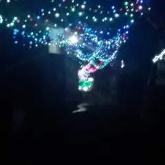 Nguyễn Văn Bi photo on Jungo Live