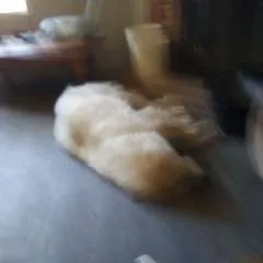 Anny........ photo on Jungo Live