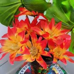 Williams Andry photo on Jungo Live