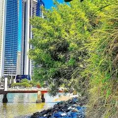 Williams Andry photo on Jungo Live