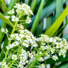 Williams Andry photo on Jungo Live