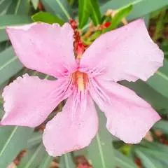 Williams Andry photo on Jungo Live