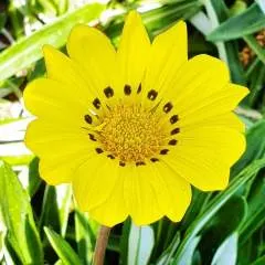 Williams Andry photo on Jungo Live