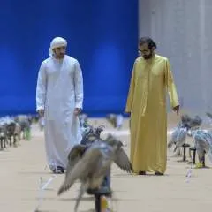 Fazza photo on Jungo Live