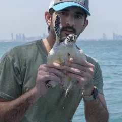 Fazza photo on Jungo Live