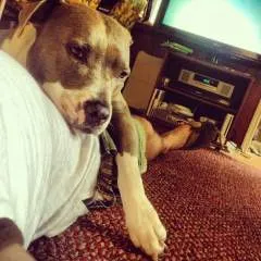 Bryan photo on Jungo Live