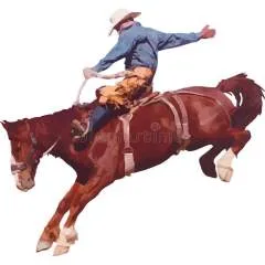 Jacpol photo on Jungo Live