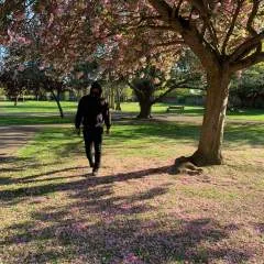 Mike photo on Jungo Live