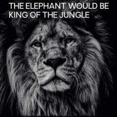 Helena photo on Jungo Live