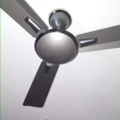 Dip photo on Jungo Live