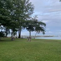 Daviddavid photo on Jungo Live