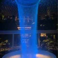 Daviddavid photo on Jungo Live