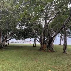 Daviddavid photo on Jungo Live