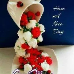 Jaan........ photo on Jungo Live