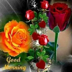 Jaan........ photo on Jungo Live