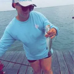 Guest photo on Jungo Live