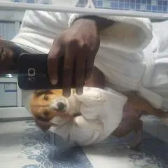 Aaron_blake photo on Jungo Live