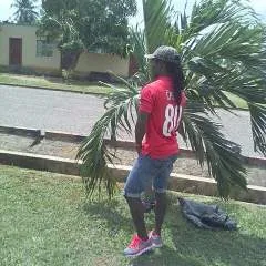 Crown photo on Jungo Live