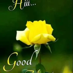 Arjun09 photo on Jungo Live