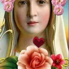 Arjun09 photo on Jungo Live