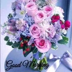 Arjun09 photo on Jungo Live