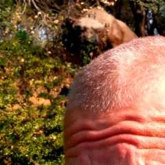 Kittylickrr photo on Jungo Live