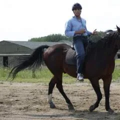 Jasper photo on Jungo Live