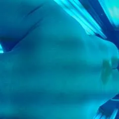 Josephcarr photo on Jungo Live