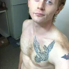 Tabornator photo on Jungo Live