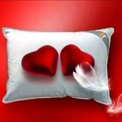 David photo on Jungo Live