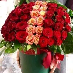 David photo on Jungo Live