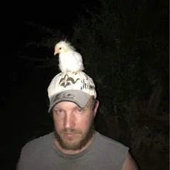 Hungstud photo on Jungo Live