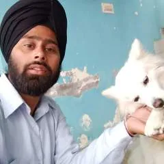 Sukhwinder photo on Jungo Live