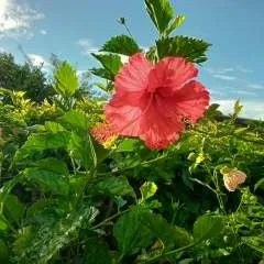 Maxxkhan photo on Jungo Live