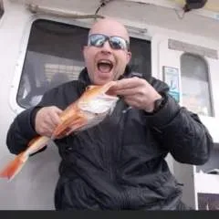 Swiss Tony photo on Jungo Live