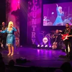 Dazza photo on Jungo Live