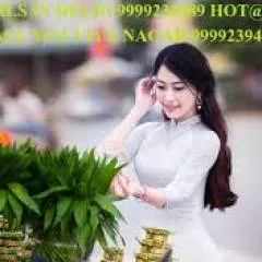 **** In Delhi -....-**** Service In Delhi photo on Jungo Live