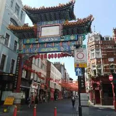 Steven_hill photo on Jungo Live