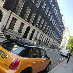 Steven_hill photo on Jungo Live